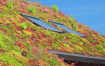 Bramshill living roof systems