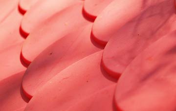 Bramshill plastic roof costs